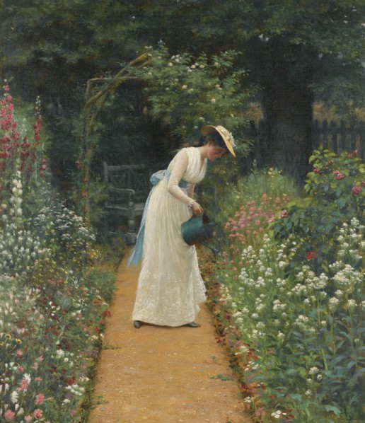 My Lady's Garden.