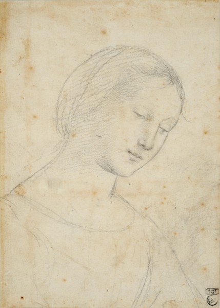 Study of a Woman.