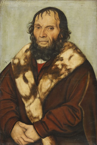 Portrait of Johannes Scheyring (1454-1516), 1529.