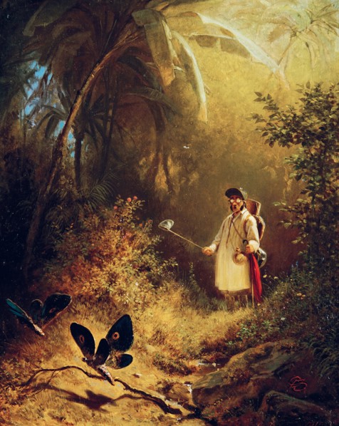 The Butterfly Hunter, c. 1840.