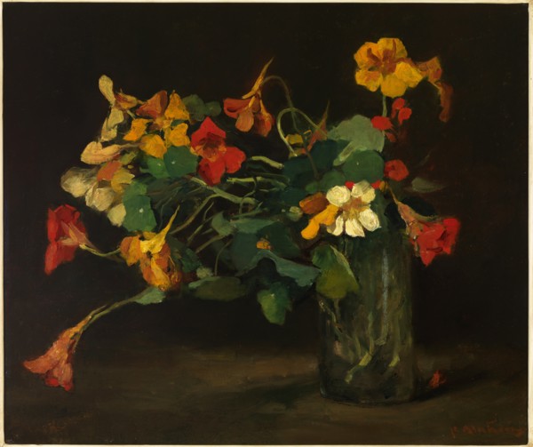 Still Life with Nasturtiums.