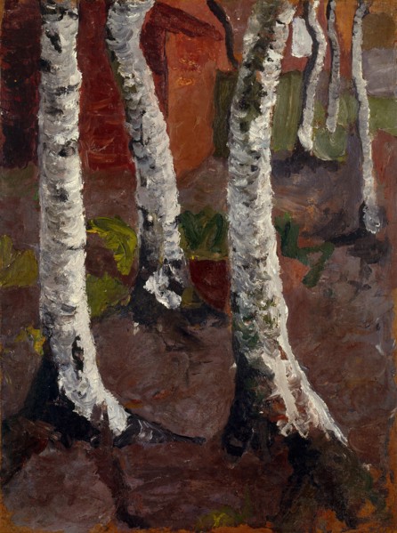Birch trees in front of red house wall, ca 1901.