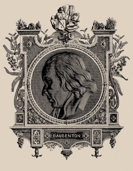 Louis-Jean-Marie Daubenton (1716-1799), 1854.