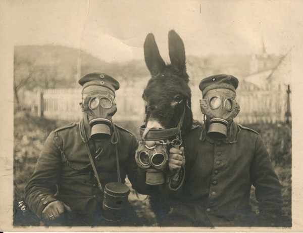 First World War, c. 1915.