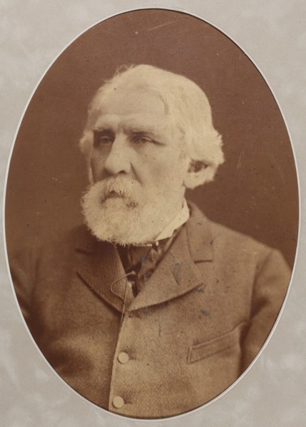 Portrait of the author Ivan Sergeyevich Turgenev (1818-1883), 1879.