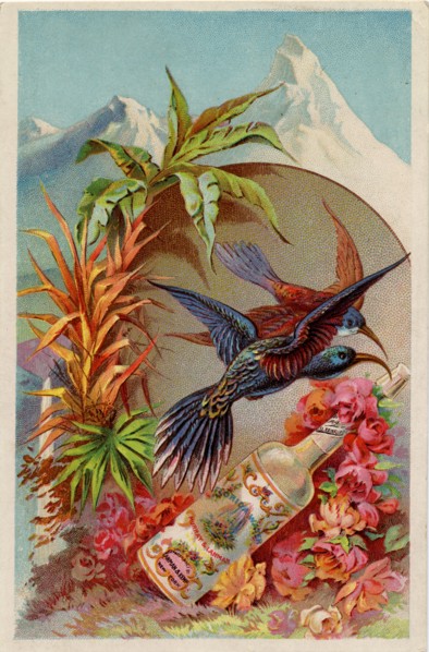 Murray & Lanman?s Florida Water, 19th century. Artist: Unknown