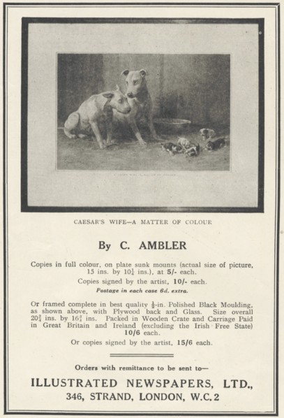Illustrated Newspapers Framed Pictures, 1935. Artist: Unknown