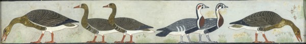 Copy of wall painting from Mastaba of Itet, Medum (IV, 93-94) geese, 20th century. Artist: Anna (Nina) Macpherson Davies.