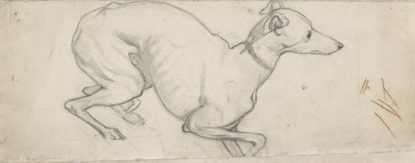 Study of a Greyhound, mid 19th century. Artist: Ford Madox Brown.