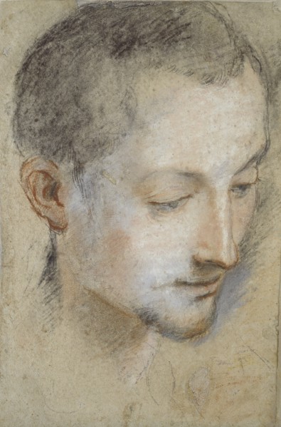 Study of a young Man's Head, late 16th century. Artist: Federico Barocci.
