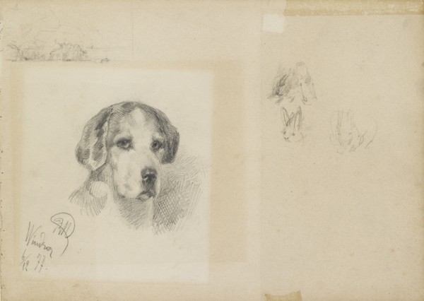 Portrait of a dog: Windsor, 1877. Artist: Rudolf Wimmer.