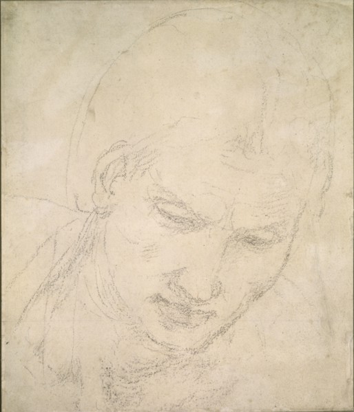 Study of a Head, c1490-1560. Artist: Michelangelo Buonarroti.