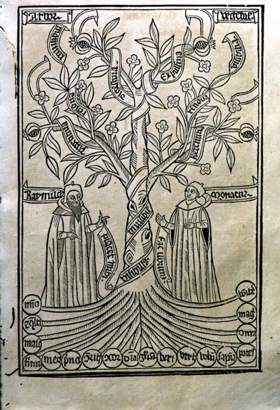 Engraving of a tree in the work 'Arbor Scientiae' (Science Tree) copy printed in Barcelona in 150?
