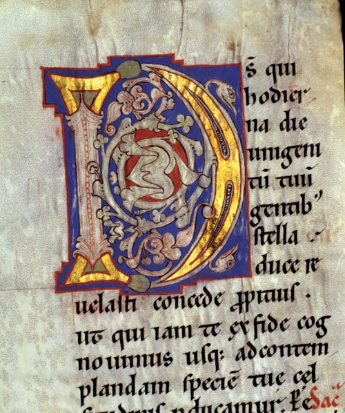 Drop cap 'D' illuminated with heads of birds and vegetables interlacing in the 'Sacramentary of S?