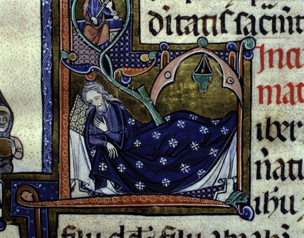 The Tree of Jesse, Miniature in the 'Biblia Sacra, volume IV ', manuscript on parchment made, pro?