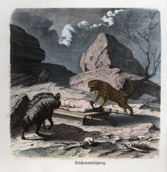 Ancient History. Persia. Abandonment of a corpse to the beasts. German engraving, 1865.