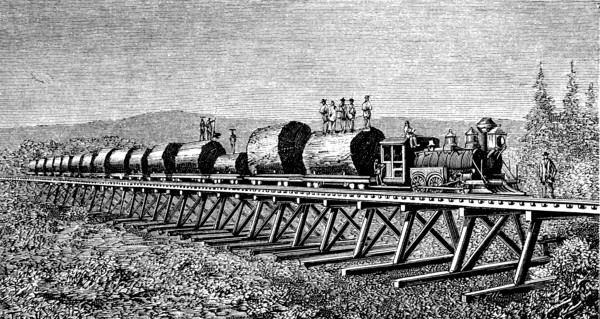 Steam train carrying trunks of giant trees in California, engraving of 1886.