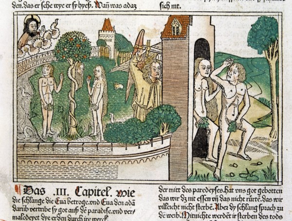 Engraving showing Adam and Eve in paradise, scene in the Bible of Nuremberg, German edition 1483.