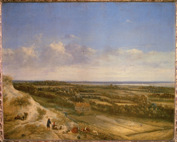 View of Haarlem from the dunes.