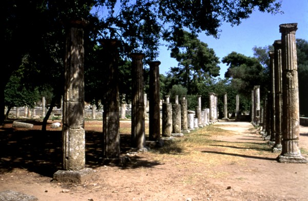 View of the columns of the Olympia Gym.