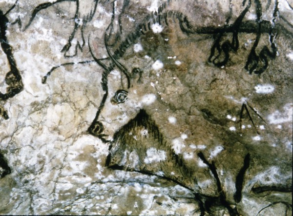 Detail of a wounded bison, part of an overlapping of figures, it has been painted tracing his pro?
