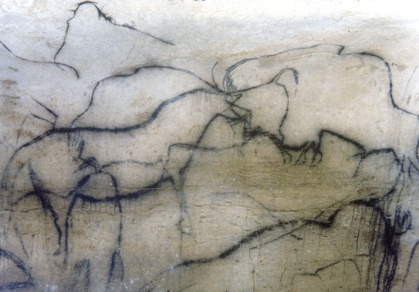 Chapel of mammoths (Pech-Merle Cave): black horse and bisons, they have been represented by the p?