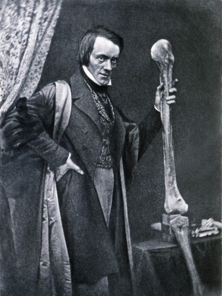 Richard Owen (1804-1892), English zoologist and anatomical, curator of the Royal College of Surge?