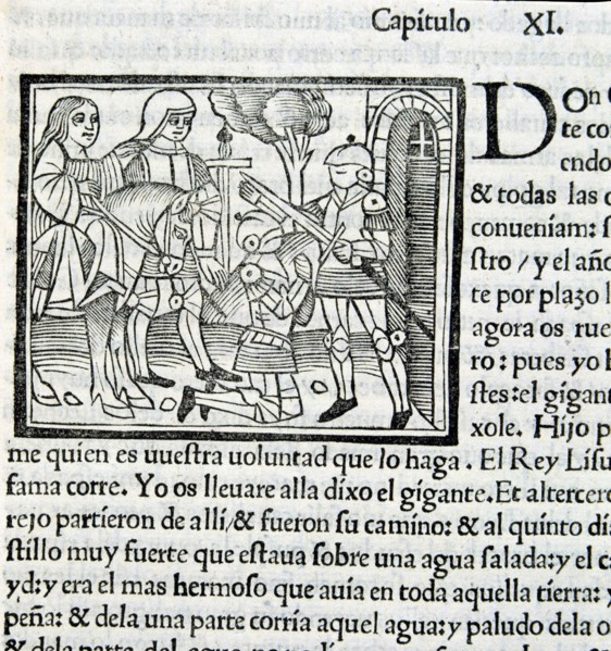 Amadis de Gaula, a masterpiece of medieval literature of 16th century, page of an edition of 1533.