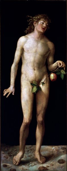 'Adam', oil on canvas by Albrecht Durer.