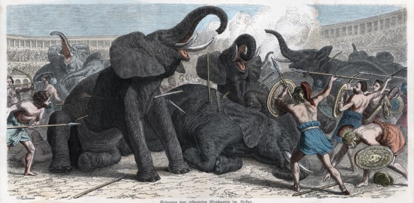 Combat between gladiators and circus elephants, engraving 1862.