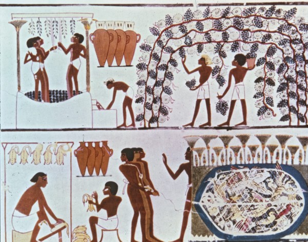 Fresco from the tomb of Nakht with wine harvest scene and bird hunting in a swamp
