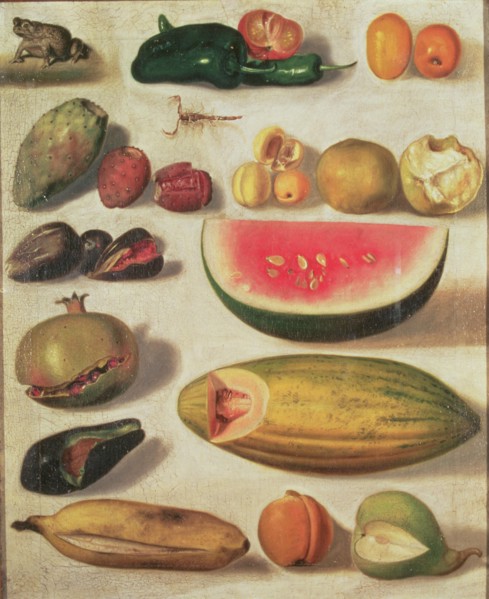 'Still Life with Fruit and Toad', oil by Hermenegildo Bustos.