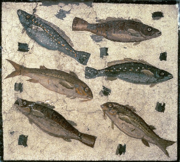 Mosaic from the Kircherian Museum.
