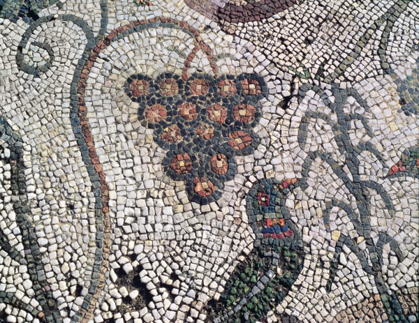 Mosaic in the Amphitheatre house representing a cluster of grapes and a bird, preserved in the ar?