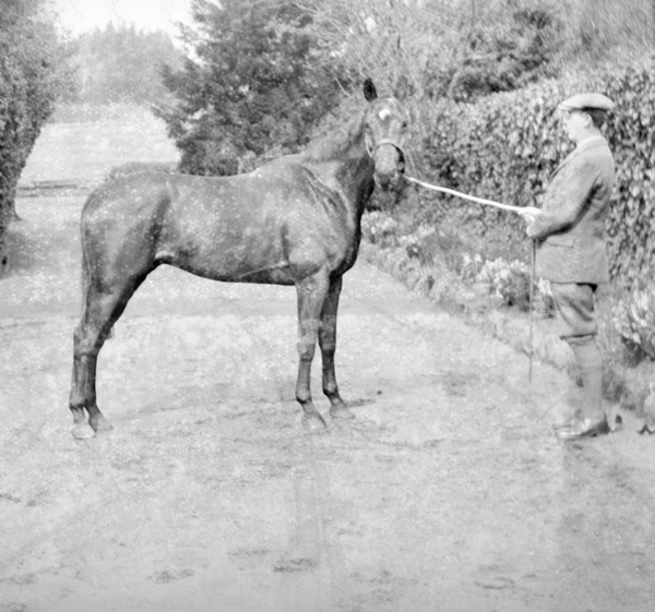 General Seely's Warrior, Isle of Wight, April 1922. Creator: Kirk & Sons of Cowes.