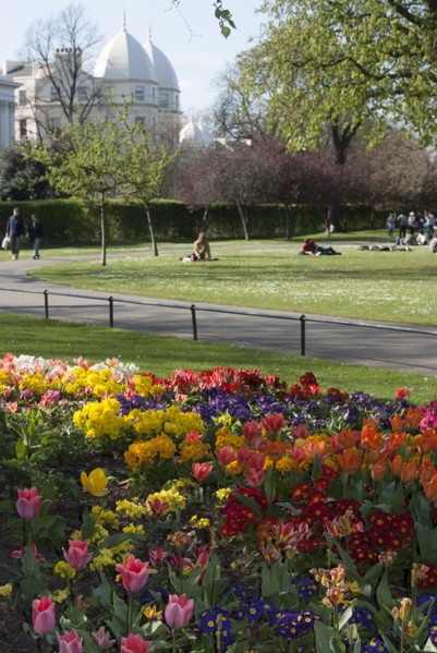 Regent's Park, 2009. Creator: Ethel Davies.
