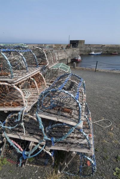 Craster, 2006. Creator: Ethel Davies.