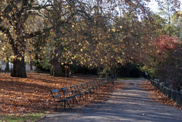UK, London, Battersea Park, 2009. Creator: Ethel Davies.
