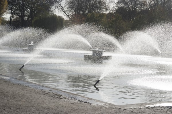 UK, London, Battersea Park, 2009. Creator: Ethel Davies.
