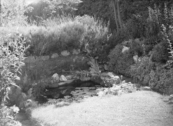 Pond in a garden, c1935. Creator: Kirk & Sons of Cowes.