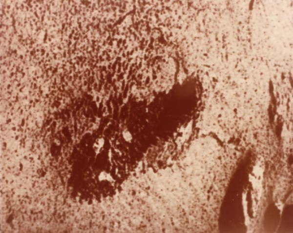 Trench excavated by surface sampler, Viking 1 Mission to Mars, 1976. Creator: NASA.