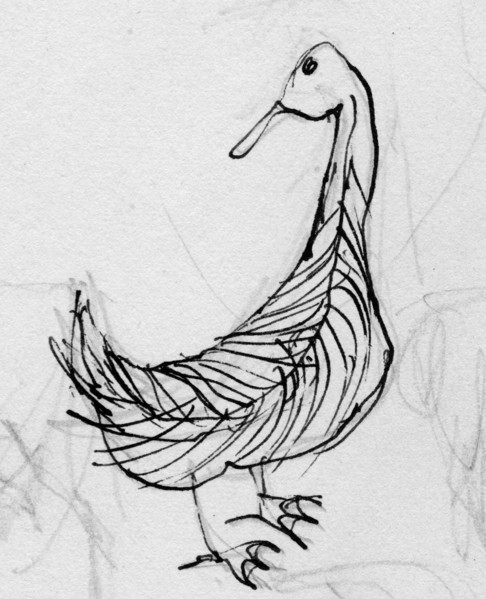 Bird, c1950. Creator: Shirley Markham.
