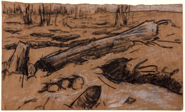 A Fallen Tree, c1914.