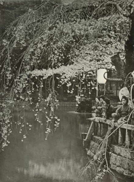 Cherry-Blossom Time in Japan', 1910.