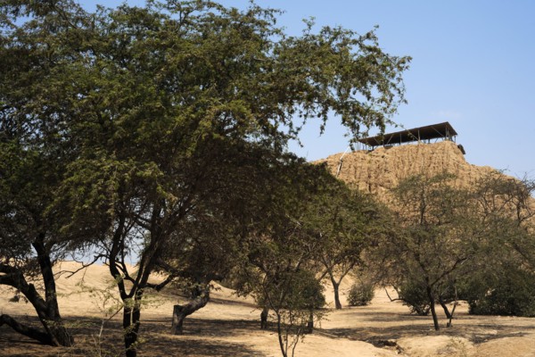 Valle de las Piramides, Tucume, Lambayeque, Peru, 2015.