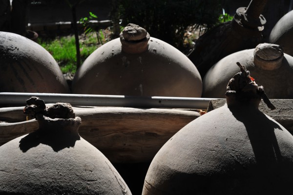 Tacama, Ica, Peru, 2015.