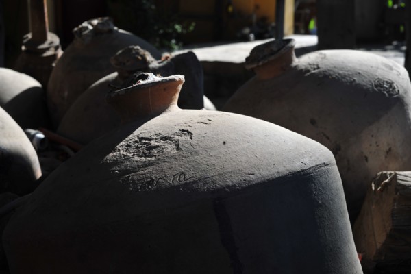 Tacama, Ica, Peru, 2015.