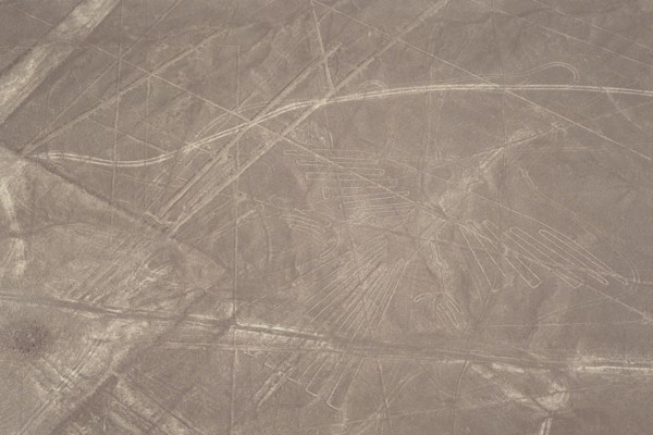 The Condor, Nazca Lines, Ica, Peru,  2015.