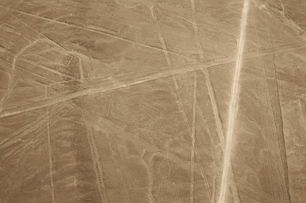 The Condor, Nazca Lines, Ica, Peru, 2015.
