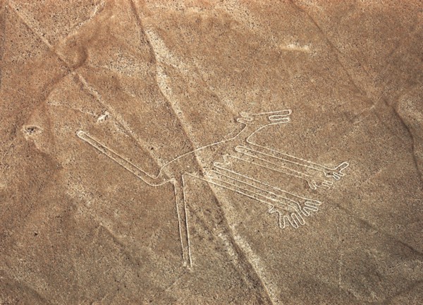 The Dog, Nazca Lines, Ica, Peru, 2015.